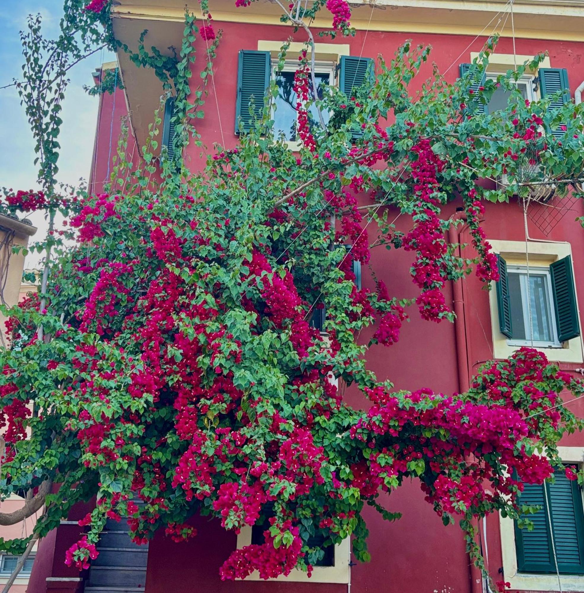 Corfu Port Home Exterior foto